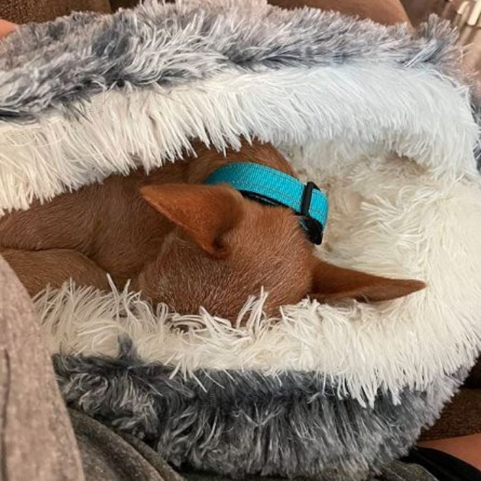 Cozy Nest™ - #1 Anxiety Pet Bed