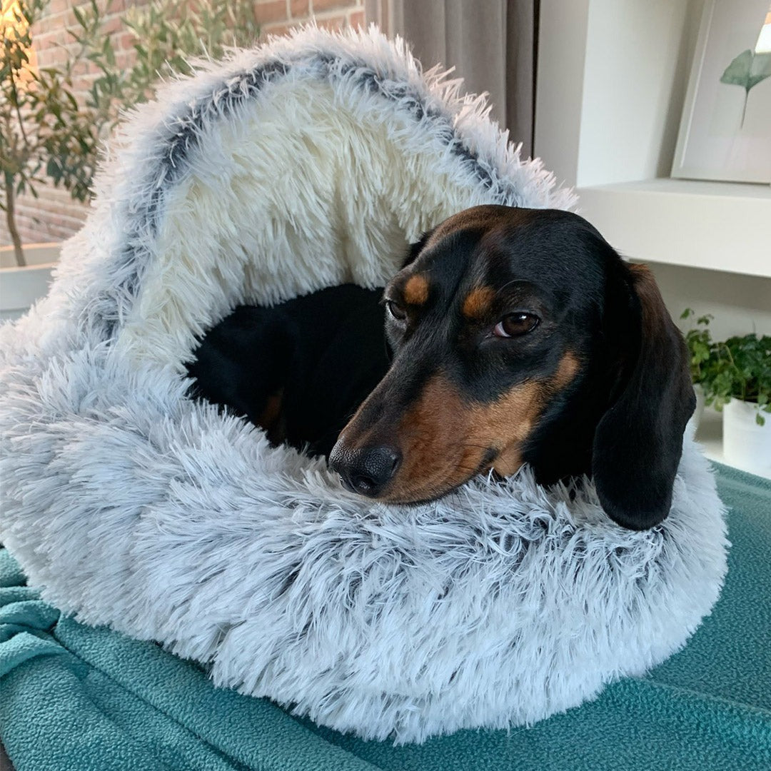 Cozy Nest™ - #1 Anxiety Pet Bed